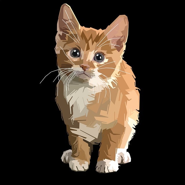 Lov černé zvěře: Lov na divoké prase a srnce