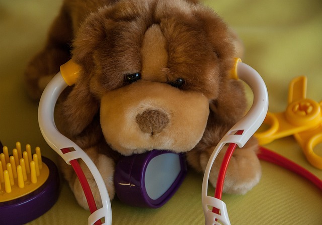 Český Brod veterina: Kde najít veterinární péči pro vaše zvířecí miláčky?