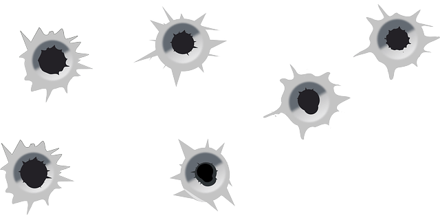 Balistika: Teoretická a experimentální analýza střelby z loveckých zbraní