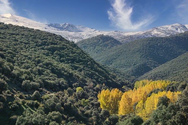 Vábnička na velryby: Lovte giganty oceánu!