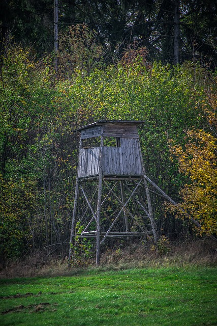 Jakou zbraň koupit (1 část): Návod pro budoucí myslivce a lovce