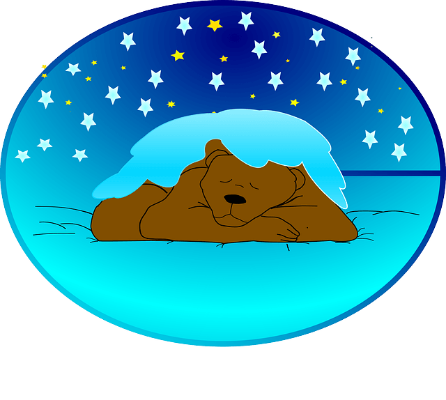 Svišť a zimní spánek: Příběh malého horského hrdiny