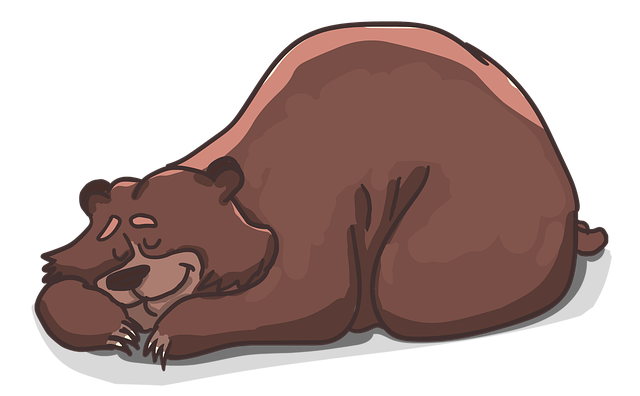 Tipy a rady pro efektivní využití pracovních listů během zimního spánku medvědů
