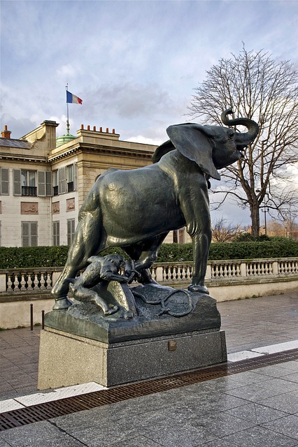 Vábnička na slona: Lovte giganty džungle!