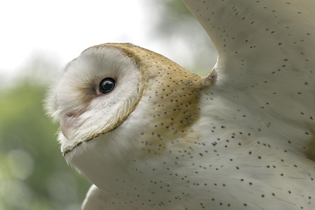 7.⁤ Respektujte přírodu - Etiketa při lovení na neobvyklých vodách pro udržitelný rybolov