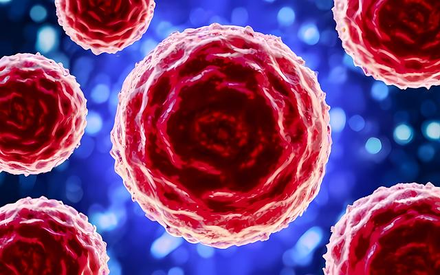 - Metody výzkumu a pozorování lasicích hranostajů během jejich zimního spánku: Podrobný přehled technik a postupů