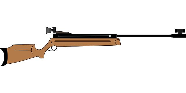 Kolik stojí vzduchovka: Cenové rozpětí pro různé typy vzduchovek